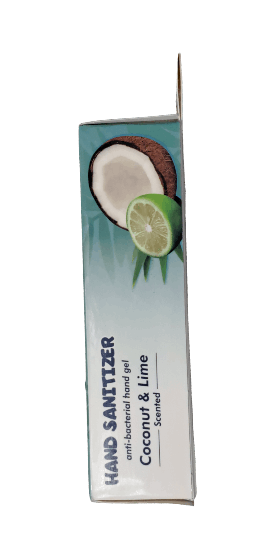 Coconut & Lime Hand Sanitizer